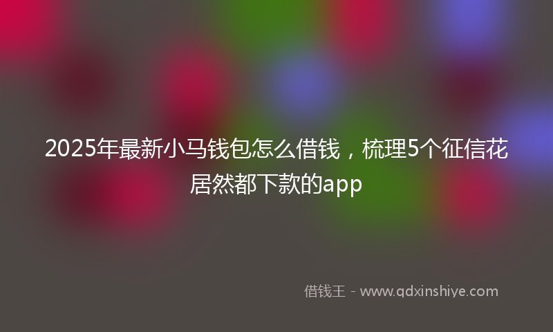 2025年最新小马钱包怎么借钱，梳理5个征信花居然都下款的app