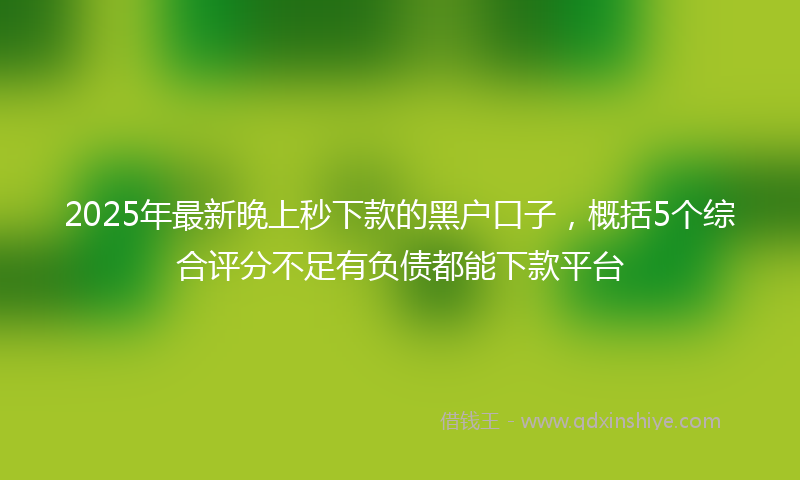 2025年最新晚上秒下款的黑户口子，概括5个综合评分不足有负债都能下款平台