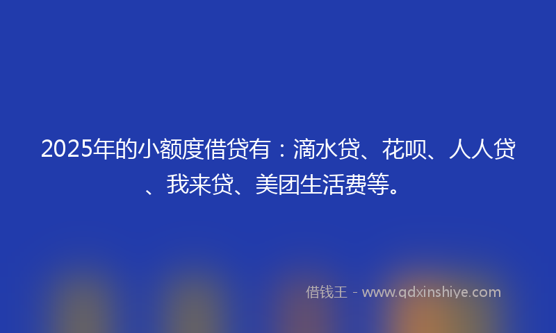 2025年的小额度借贷有：滴水贷、花呗、人人贷、我来贷、美团生活费等。