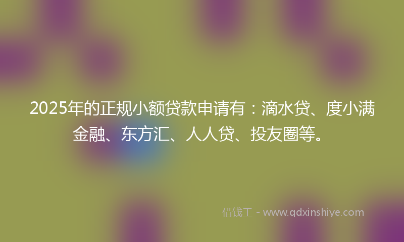 2025年的正规小额贷款申请有：滴水贷、度小满金融、东方汇、人人贷、投友圈等。