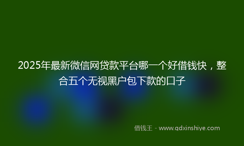 2025年最新微信网贷款平台哪一个好借钱快，整合五个无视黑户包下款的口子