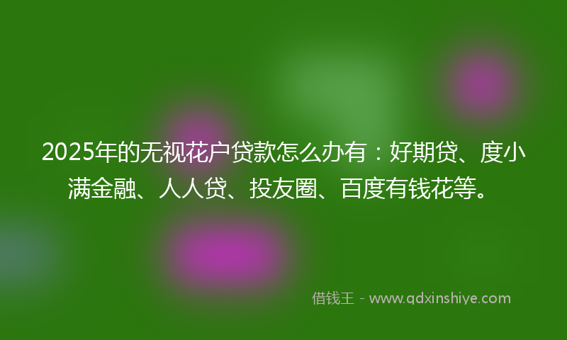 2025年的无视花户贷款怎么办有：好期贷、度小满金融、人人贷、投友圈、百度有钱花等。