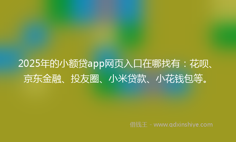 2025年的小额贷app网页入口在哪找有：花呗、京东金融、投友圈、小米贷款、小花钱包等。