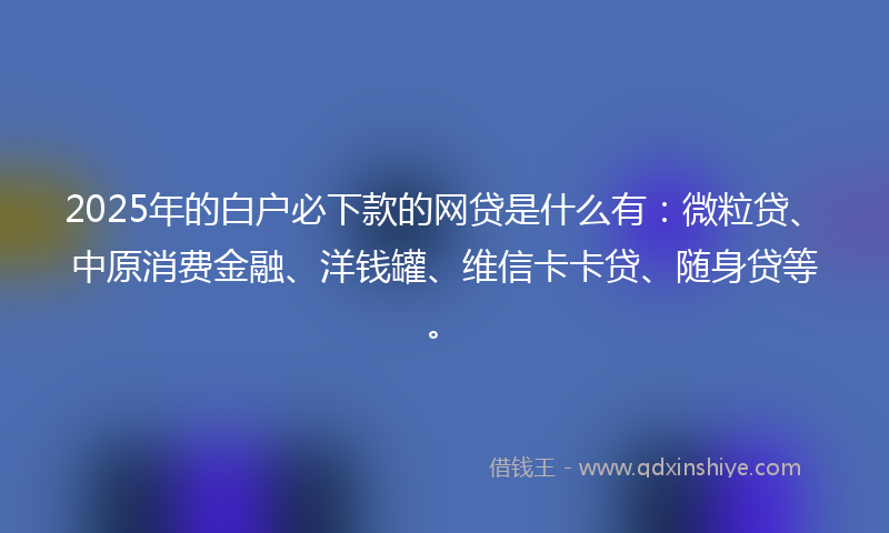 2025年的白户必下款的网贷是什么有：微粒贷、中原消费金融、洋钱罐、维信卡卡贷、随身贷等。