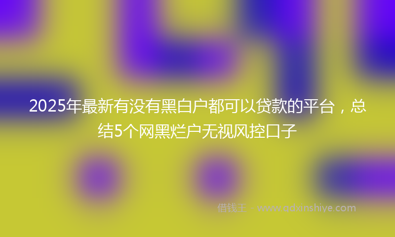 2025年最新有没有黑白户都可以贷款的平台，总结5个网黑烂户无视风控口子