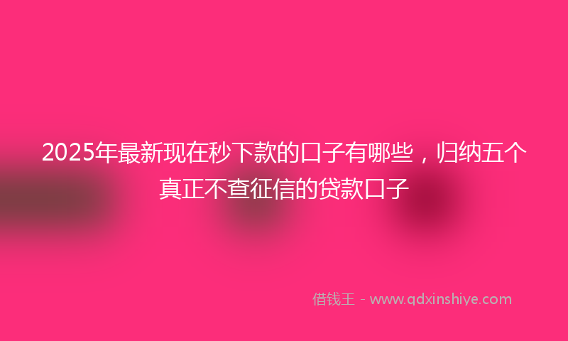 2025年最新现在秒下款的口子有哪些，归纳五个真正不查征信的贷款口子