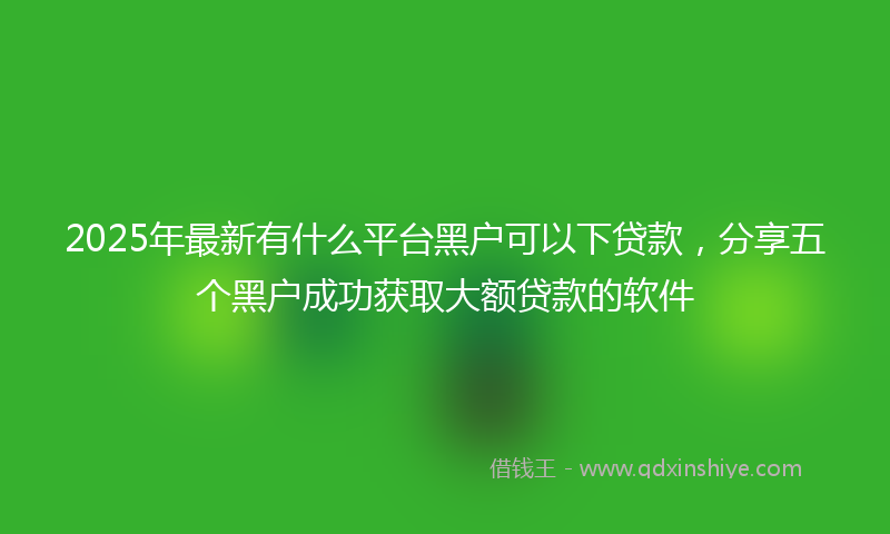 2025年最新有什么平台黑户可以下贷款，分享五个黑户成功获取大额贷款的软件