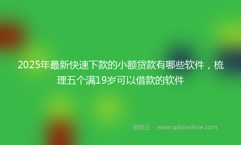 2025年最新快速下款的小额贷款有哪些软件，梳理五个满19岁可以借款的软件