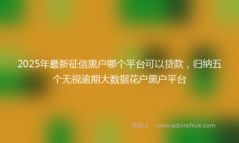 2025年最新征信黑户哪个平台可以贷款，归纳五个无视逾期大数据花户黑户平台