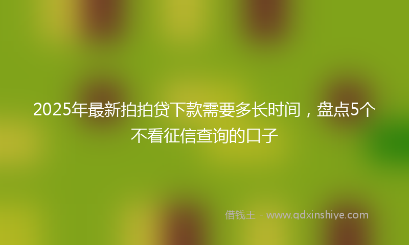 2025年最新拍拍贷下款需要多长时间，盘点5个不看征信查询的口子