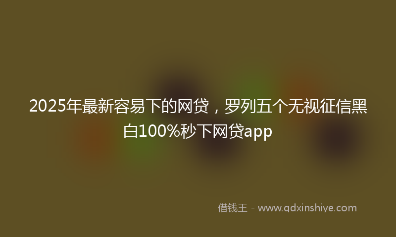 2025年最新容易下的网贷，罗列五个无视征信黑白100%秒下网贷app