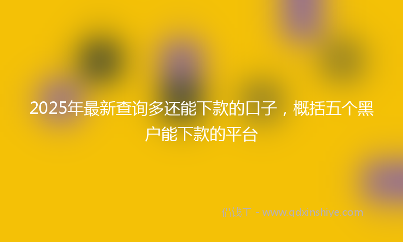 2025年最新查询多还能下款的口子，概括五个黑户能下款的平台