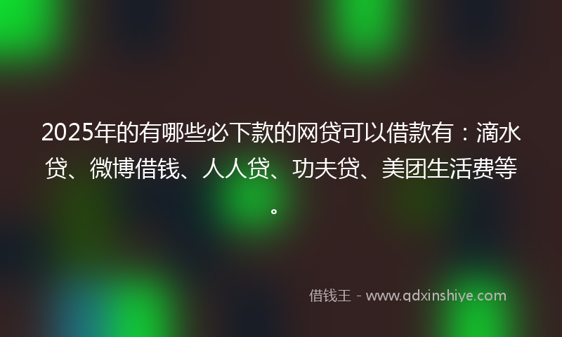 2025年的有哪些必下款的网贷可以借款有：滴水贷、微博借钱、人人贷、功夫贷、美团生活费等。