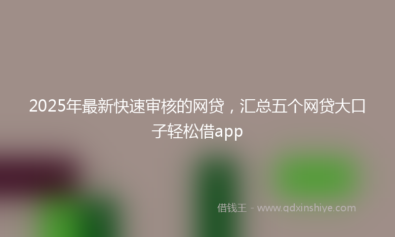 2025年最新快速审核的网贷，汇总五个网贷大口子轻松借app