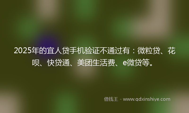 2025年的宜人贷手机验证不通过有：微粒贷、花呗、快贷通、美团生活费、e微贷等。