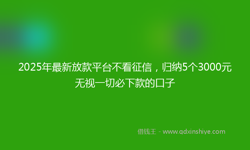 2025年最新放款平台不看征信，归纳5个3000元无视一切必下款的口子