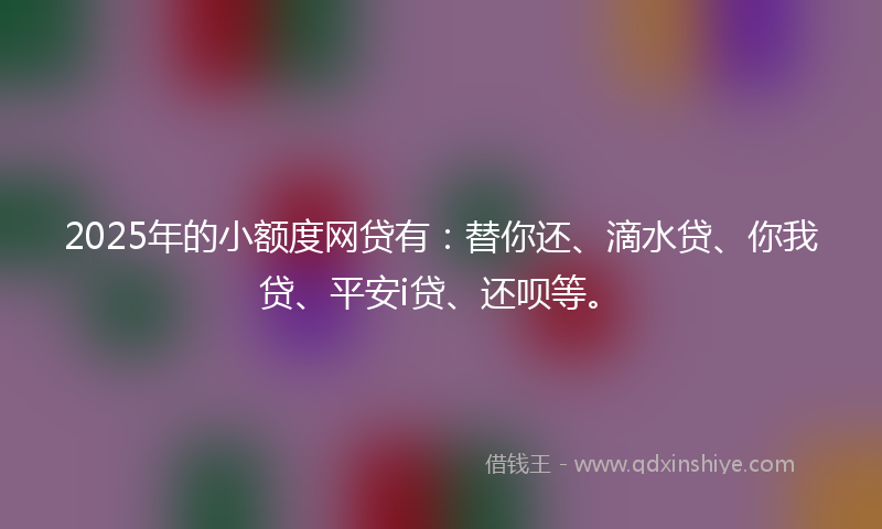 2025年的小额度网贷有：替你还、滴水贷、你我贷、平安i贷、还呗等。
