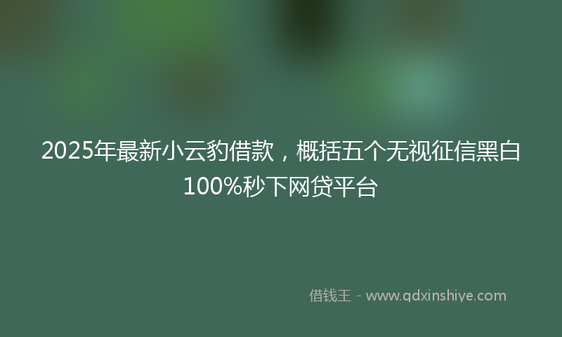 2025年最新小云豹借款，概括五个无视征信黑白100%秒下网贷平台
