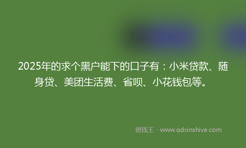 2025年的求个黑户能下的口子有：小米贷款、随身贷、美团生活费、省呗、小花钱包等。