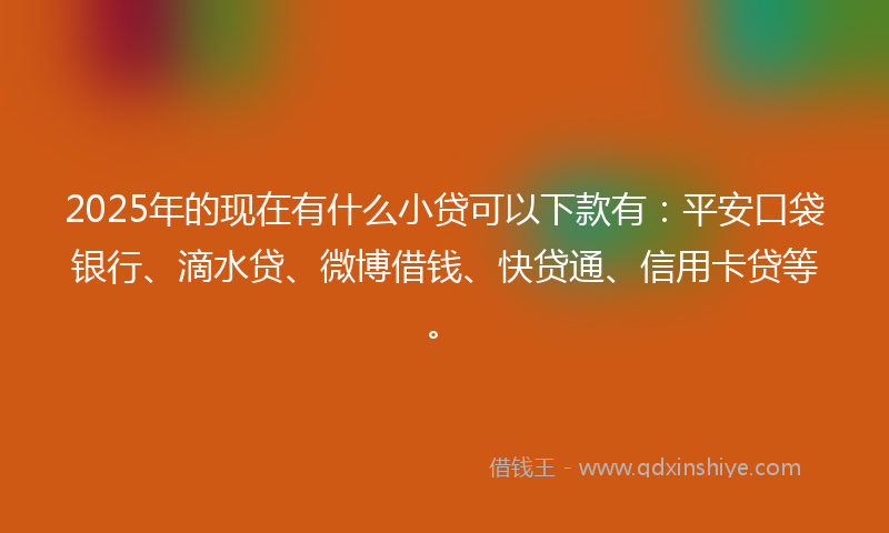 2025年的现在有什么小贷可以下款有：平安口袋银行、滴水贷、微博借钱、快贷通、信用卡贷等。