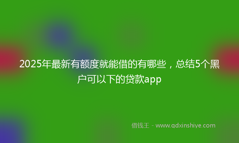 2025年最新有额度就能借的有哪些，总结5个黑户可以下的贷款app