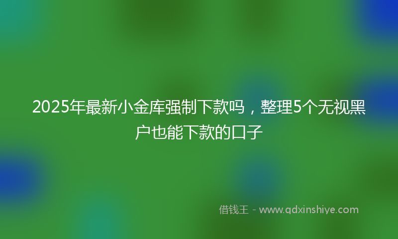 2025年最新小金库强制下款吗，整理5个无视黑户也能下款的口子