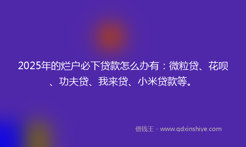 2025年的烂户必下贷款怎么办有：微粒贷、花呗、功夫贷、我来贷、小米贷款等。