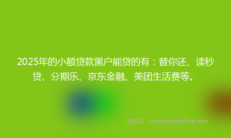 2025年的小额贷款黑户能贷的有：替你还、读秒贷、分期乐、京东金融、美团生活费等。