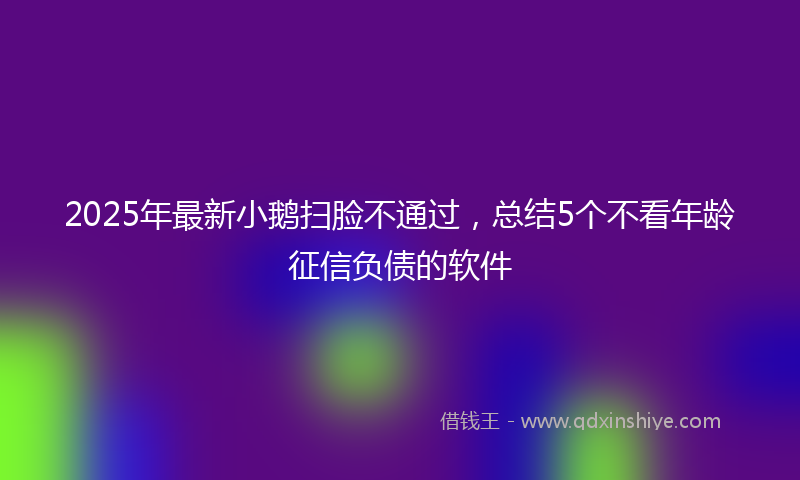 2025年最新小鹅扫脸不通过，总结5个不看年龄征信负债的软件