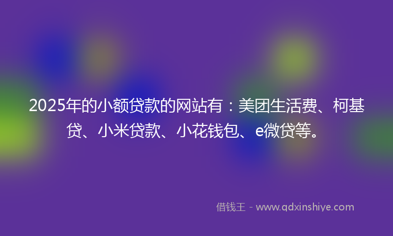 2025年的小额贷款的网站有：美团生活费、柯基贷、小米贷款、小花钱包、e微贷等。