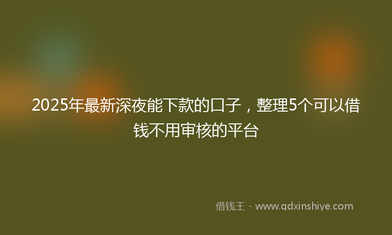 2025年最新深夜能下款的口子，整理5个可以借钱不用审核的平台