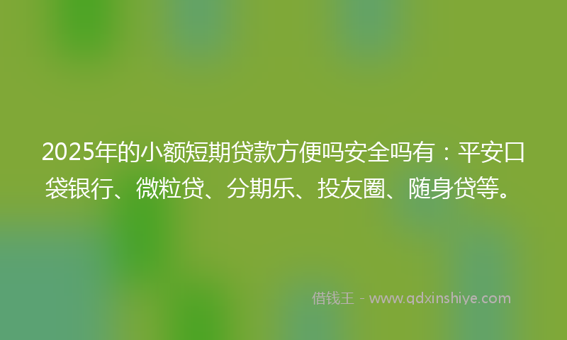 2025年的小额短期贷款方便吗安全吗有：平安口袋银行、微粒贷、分期乐、投友圈、随身贷等。