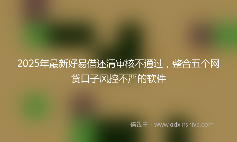 2025年最新好易借还清审核不通过，整合五个网贷口子风控不严的软件