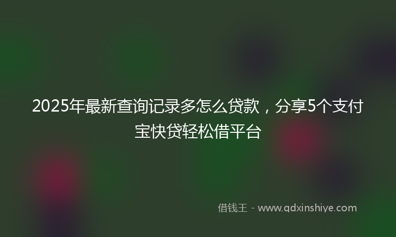 2025年最新查询记录多怎么贷款，分享5个支付宝快贷轻松借平台