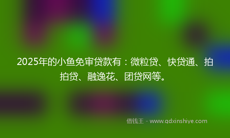 2025年的小鱼免审贷款有：微粒贷、快贷通、拍拍贷、融逸花、团贷网等。