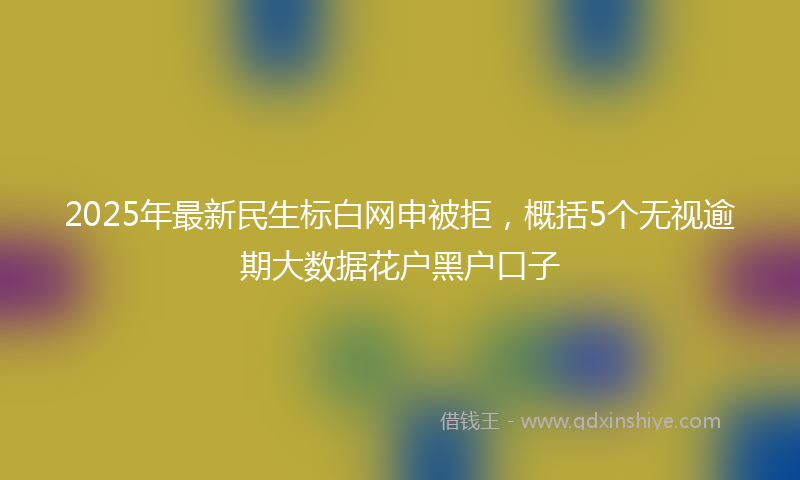 2025年最新民生标白网申被拒，概括5个无视逾期大数据花户黑户口子