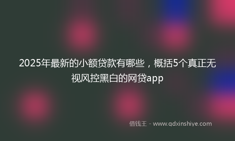 2025年最新的小额贷款有哪些，概括5个真正无视风控黑白的网贷app