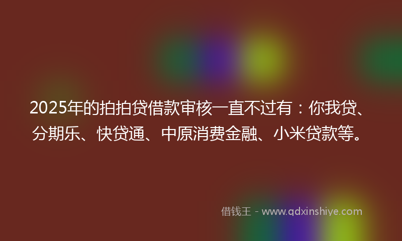 2025年的拍拍贷借款审核一直不过有：你我贷、分期乐、快贷通、中原消费金融、小米贷款等。