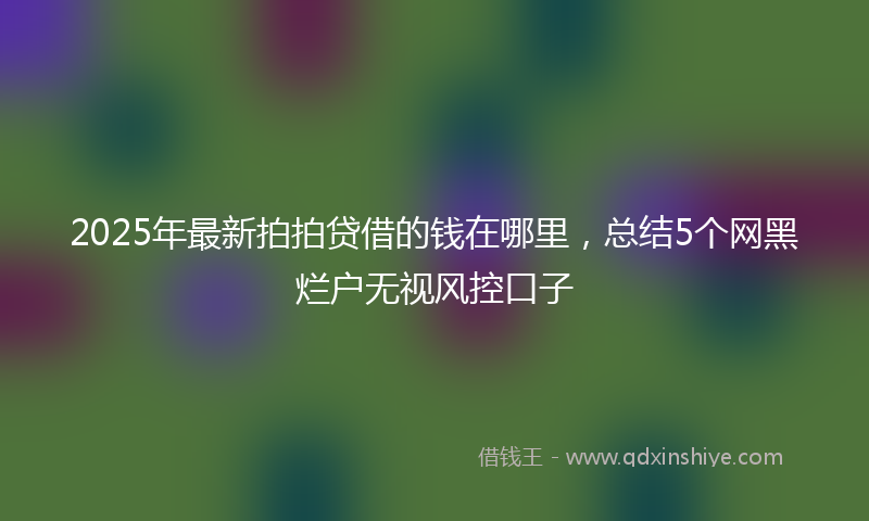 2025年最新拍拍贷借的钱在哪里，总结5个网黑烂户无视风控口子