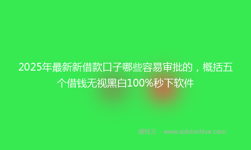 2025年最新新借款口子哪些容易审批的，概括五个借钱无视黑白100%秒下软件