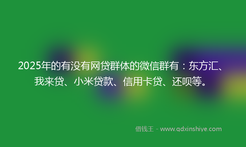 2025年的有没有网贷群体的微信群有：东方汇、我来贷、小米贷款、信用卡贷、还呗等。