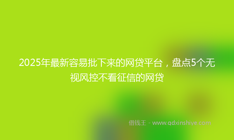 2025年最新容易批下来的网贷平台，盘点5个无视风控不看征信的网贷
