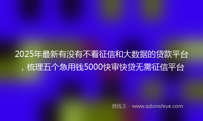 2025年最新有没有不看征信和大数据的贷款平台，梳理五个急用钱5000快审快贷无需征信平台