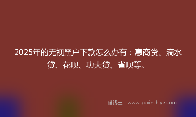 2025年的无视黑户下款怎么办有：惠商贷、滴水贷、花呗、功夫贷、省呗等。