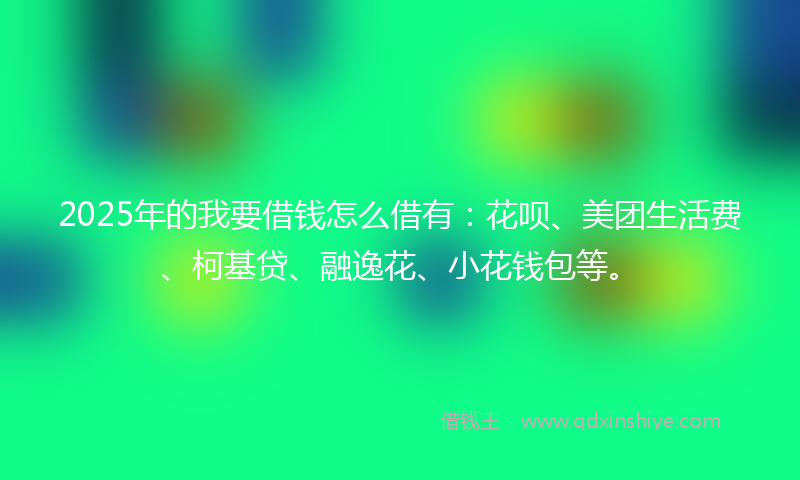 2025年的我要借钱怎么借有：花呗、美团生活费、柯基贷、融逸花、小花钱包等。