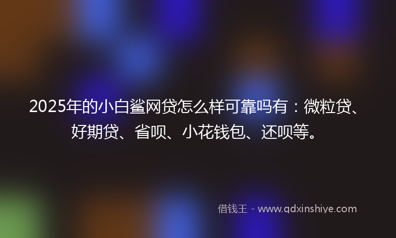 2025年的小白鲨网贷怎么样可靠吗有：微粒贷、好期贷、省呗、小花钱包、还呗等。