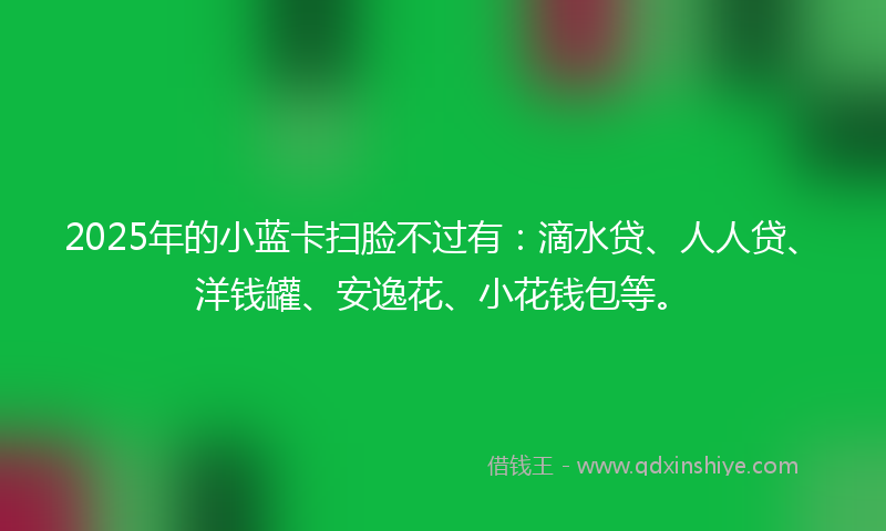 2025年的小蓝卡扫脸不过有：滴水贷、人人贷、洋钱罐、安逸花、小花钱包等。