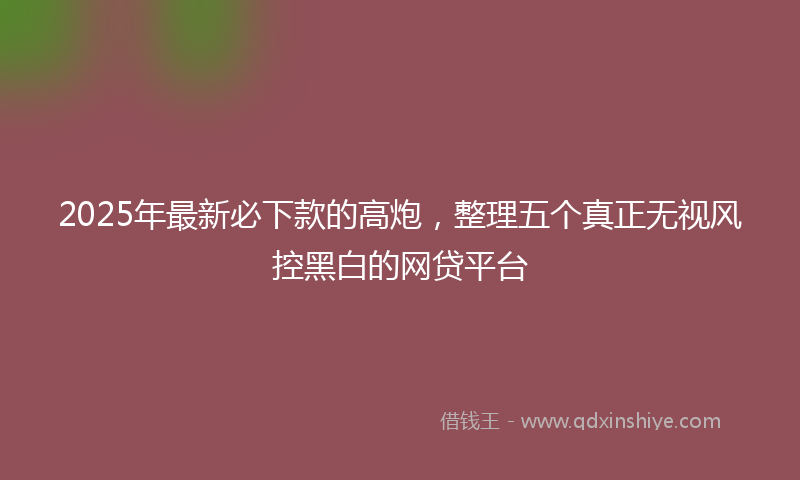 2025年最新必下款的高炮，整理五个真正无视风控黑白的网贷平台