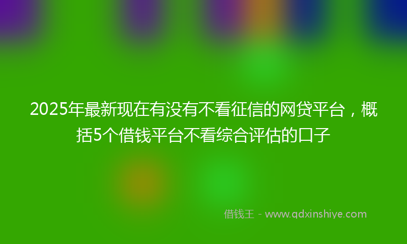 2025年最新现在有没有不看征信的网贷平台，概括5个借钱平台不看综合评估的口子