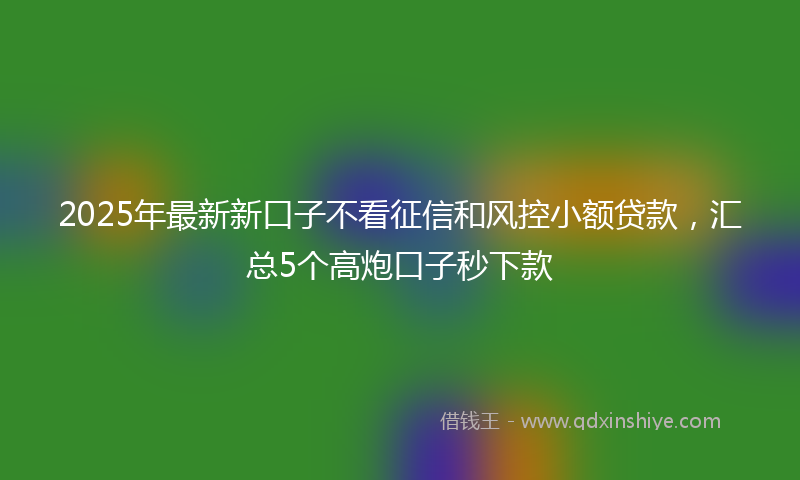 2025年最新新口子不看征信和风控小额贷款，汇总5个高炮口子秒下款